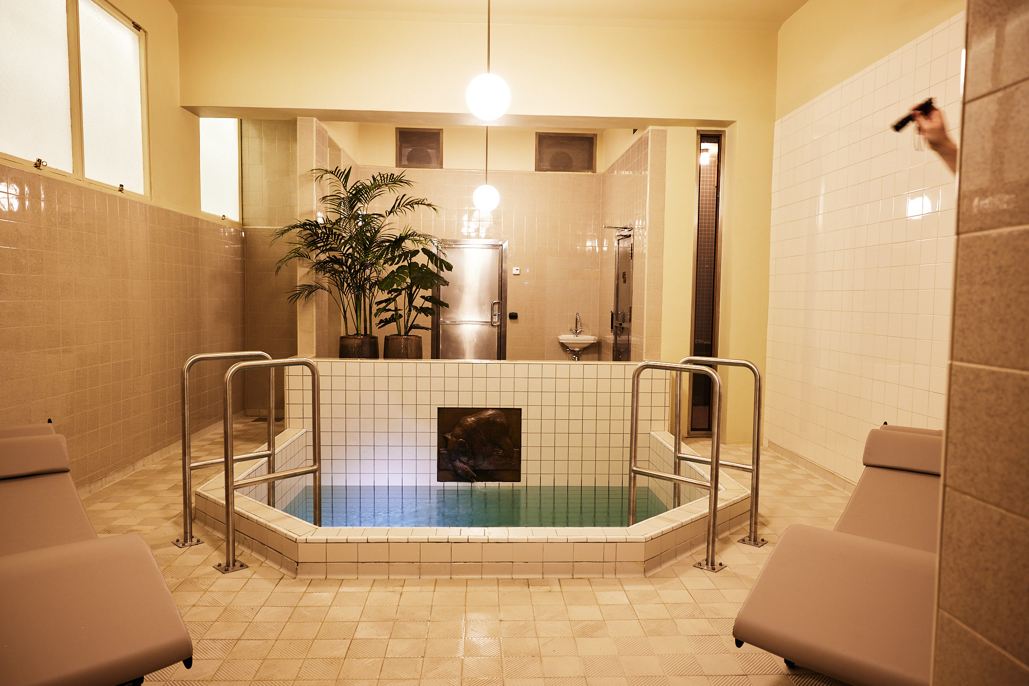 Cold plunge pool & infrared sauna